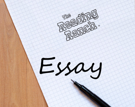 essay writing for grade 5 students
